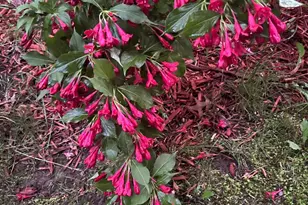 39596 10th Ave, Isle, MN 56342 - Photo 51