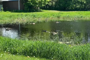 39596 10th Ave, Isle, MN 56342 - Photo 67