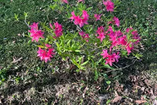 39596 10th Ave, Isle, MN 56342 - Photo 63