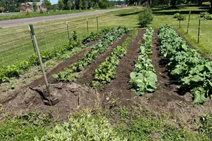 39596 10th Ave, Isle, MN 56342 - Photo 61