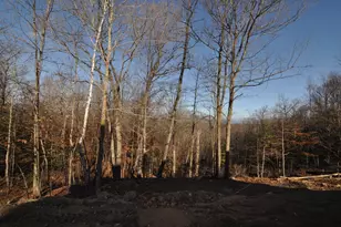 1872 Buckshot Trail NW, Hackensack, MN 56452 - Photo 29