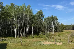 20853 185th Ave, Park Rapids, MN 56470 - Photo 65