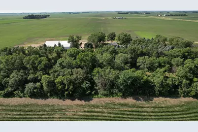 1344 385th Avenue, Ten Mile Lake Twp, MN 56218 - Photo 7