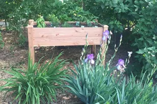 17379 Hayes Ave, Lakeville, MN 55044 - Photo 45