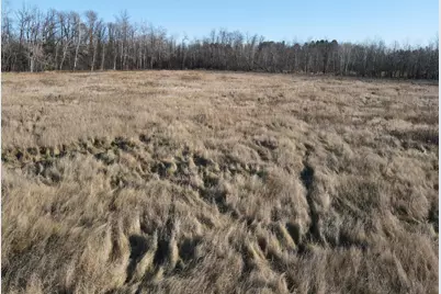 Tbd Highway 23, Oak Park, MN 56357 - Photo 9