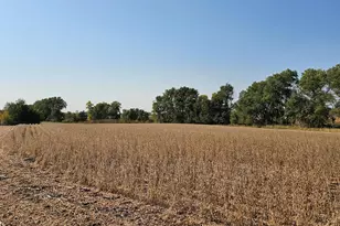 - Mamre Twp, Pennock, MN 56279 - Photo 1