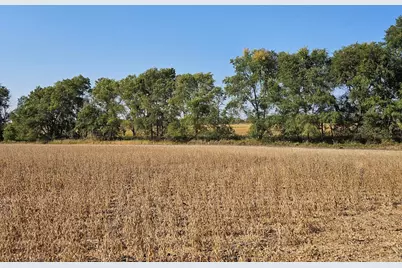 - Mamre Twp, Pennock, MN 56279 - Photo 3