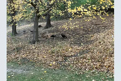 625 19th Street NW #103, Rochester, MN 55901 - Photo 31