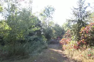 12200 Fremont Ln, Zimmerman, MN 55398 - Photo 21