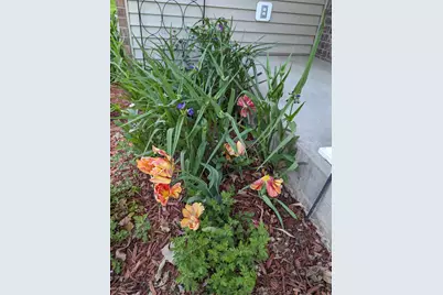 3913 Oxford Drive, Woodbury, MN 55125 - Photo 83