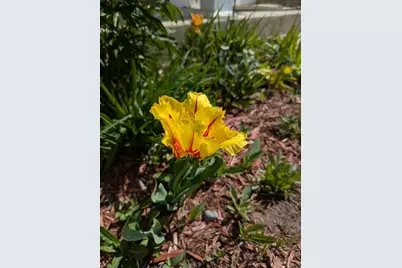 3913 Oxford Drive, Woodbury, MN 55125 - Photo 75