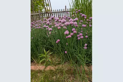 3913 Oxford Drive, Woodbury, MN 55125 - Photo 65