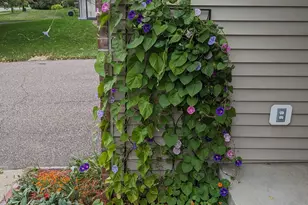 3913 Oxford Dr, Woodbury, MN 55125 - Photo 67