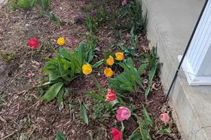 3913 Oxford Dr, Woodbury, MN 55125 - Photo 77