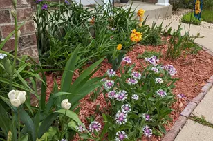 3913 Oxford Dr, Woodbury, MN 55125 - Photo 69