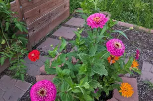 3913 Oxford Dr, Woodbury, MN 55125 - Photo 79