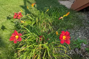 3913 Oxford Dr, Woodbury, MN 55125 - Photo 81