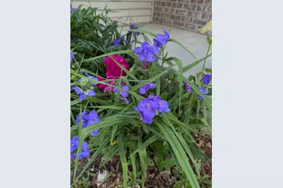 3913 Oxford Drive, Woodbury, MN 55125 - Photo 57