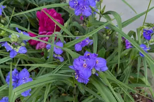 3913 Oxford Dr, Woodbury, MN 55125 - Photo 57