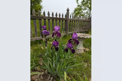 3913 Oxford Drive, Woodbury, MN 55125 - Photo 73