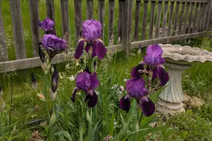 3913 Oxford Dr, Woodbury, MN 55125 - Photo 73