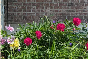 3913 Oxford Dr, Woodbury, MN 55125 - Photo 63