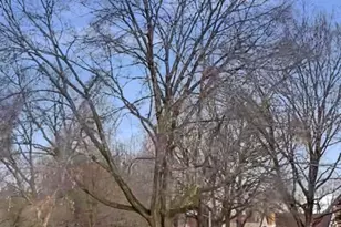 4405 Morgan Ave N, Minneapolis, MN 55412 - Photo 21