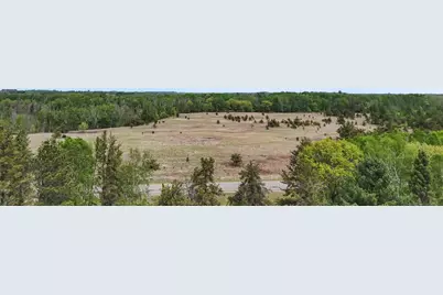 Tbd County 49, Pine River, MN 56474 - Photo 3