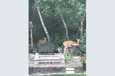 17990 Nixon Drive NW, Elk River, MN 55330 - Photo 57