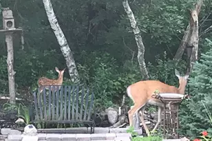 17990 Nixon Dr NW, Elk River, MN 55330 - Photo 57