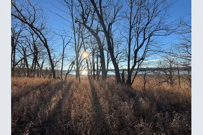 Tbd Leaf River Road, Ottertail, MN 56571 - Photo 9