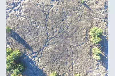 Tbd Leaf River Road, Ottertail, MN 56571 - Photo 13