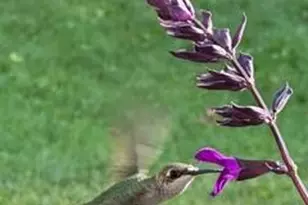 139 Otis Avenue, Saint Paul, MN 55104 - Photo 49