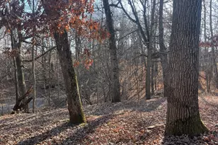 25055 Llama St NW, Zimmerman, MN 55398 - Photo 13