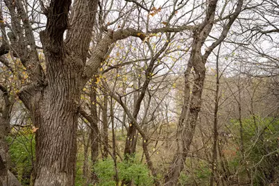 8996 Neill Lake Road, Eden Prairie, MN 55347 - Photo 17