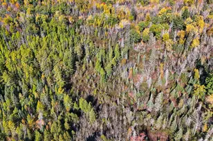 3451 Drummond Grade, Two Harbors, MN 55616 - Photo 37