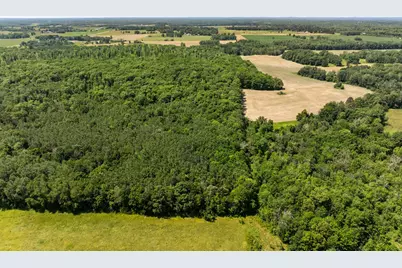 Tbd 48th Street SW, Pine River, MN 56474 - Photo 23