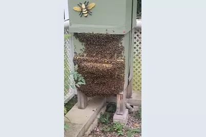 925 14th Street, Cloquet, MN 55720 - Photo 53