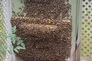 925 14th St, Cloquet, MN 55720 - Photo 53