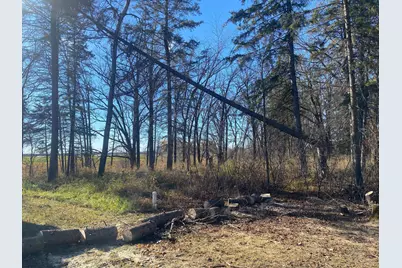 25913 County Road 129, Roseau, MN 56751 - Photo 5