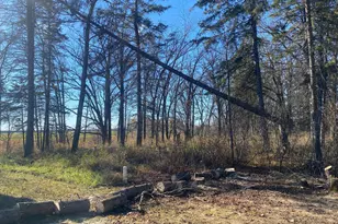 25913 Co Rd 129, Roseau, MN 56751 - Photo 5