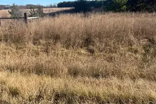 36123 Elmcrest Ave NE, North Branch, MN 55056 - Photo 3