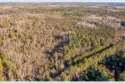 1346 Bear Head State Park Road, Ely, MN 55731 - Photo 21