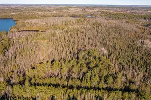 1346 Bear Head State Park Rd, Ely, MN 55731 - Photo 23