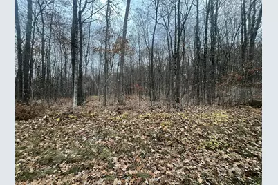 Tbd Ham Lake Road, Stone Lake, WI 54876 - Photo 1