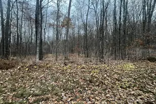 Tbd Ham Lake Rd, Stone Lake, WI 54876 - Photo 1