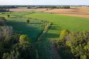 Tbd County Rd 50, Carver, MN 55315 - Photo 1
