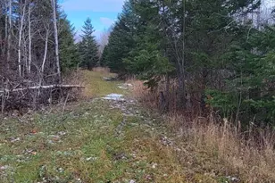 110 NW State Hwy 1, Effie, MN 56639 - Photo 19