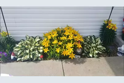 37830 Harvester Avenue, North Branch, MN 55056 - Photo 5