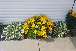 37830 Harvester Ave, North Branch, MN 55056 - Photo 5